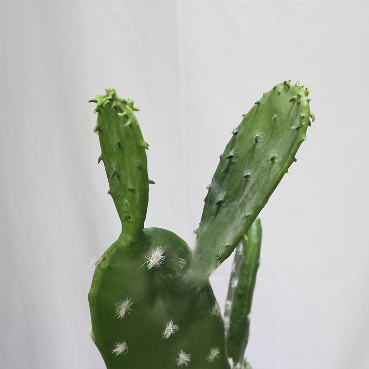 American-Home-Decor-87cm-Tufting-Flat-Cactus-Plantas-Crasas-Mini-Cactus-Plants-for-Sale (3).jpg 